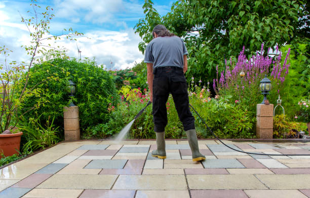 Best Winterizing Services  in Elsmere, KY